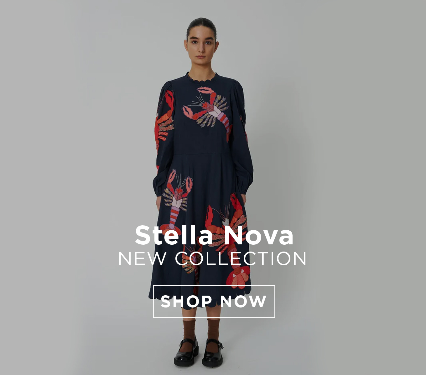 Stella Nova