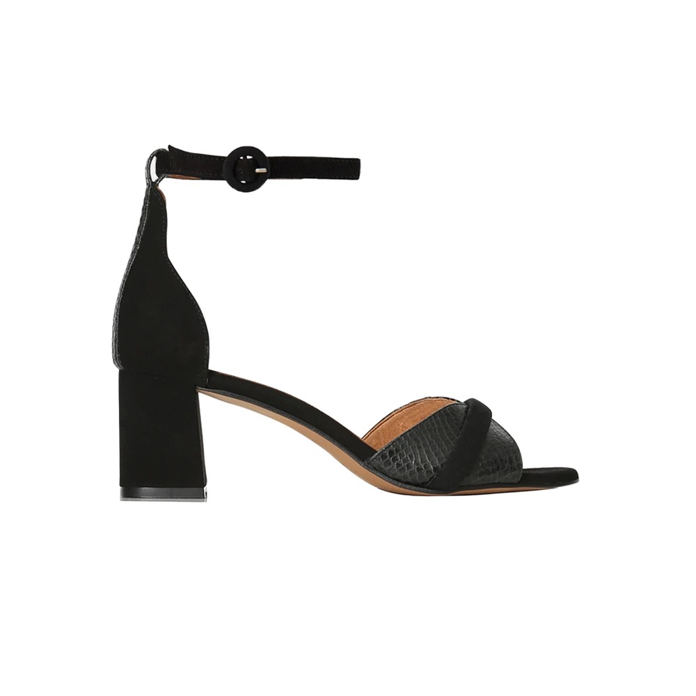 shoe the bear sandal