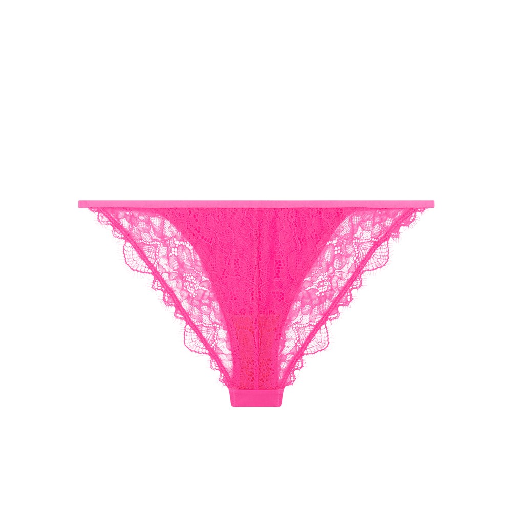 Love-Stories-Wild-Rose-Single-