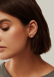 ANNA BECK Dish Stud Earrings - Gold